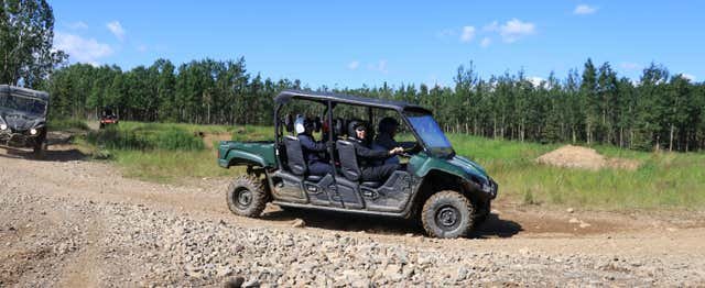 Denali, Estados Unidos - Tour en buggy por el Parque Nacional Denali