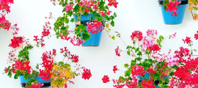 Mijas, España - Free tour por Mijas