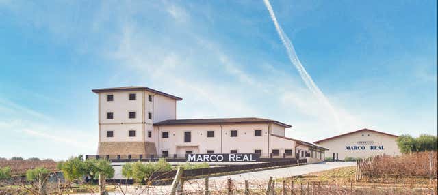 Olite, España - Visita a las bodegas Marco Real