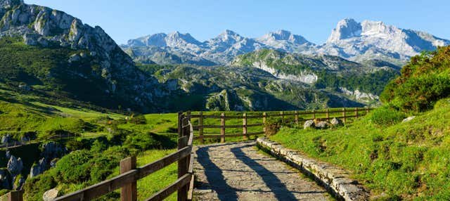Oviedo, España - Excursión a los Picos de Europa: Mogrovejo, Santo Toribio y Potes