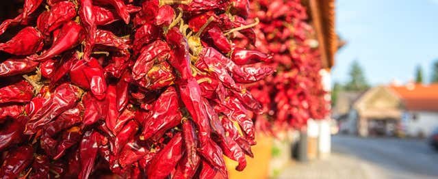 Plasencia, España - Visita a la fábrica de pimentón de La Vera “La Chinata”