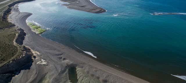 Puerto Madryn, Argentina - Excursión privada a la Península Valdés
