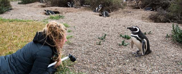 Puerto Madryn, Argentina - Excursión privada a Punta Tombo